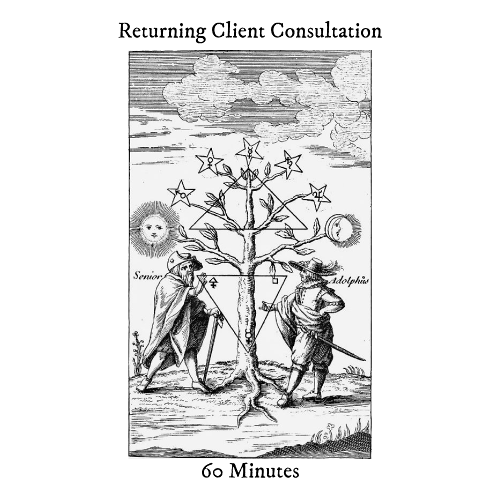 Returning Client Consultation: 60 Minutes