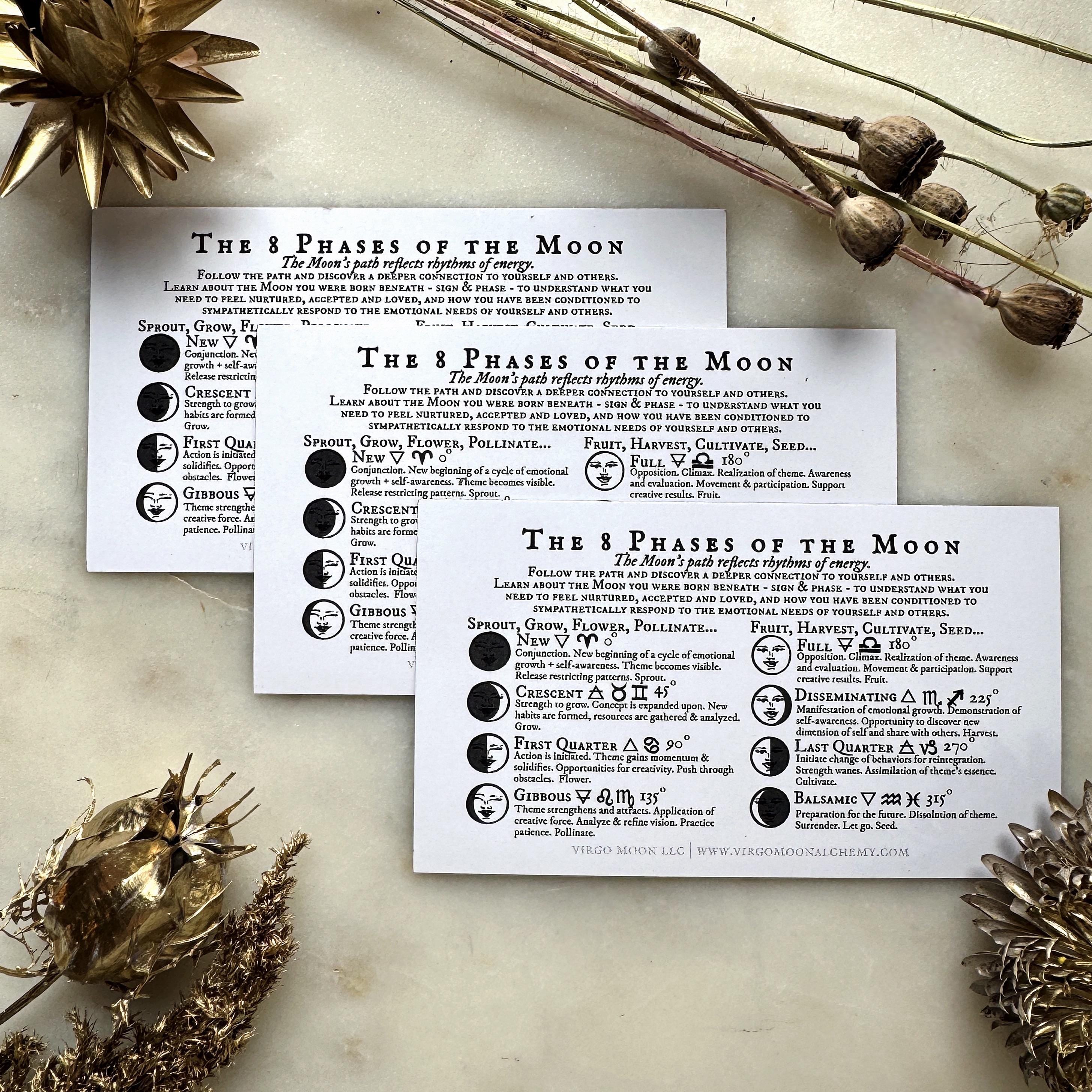 The 8 Phases of the Moon magnet