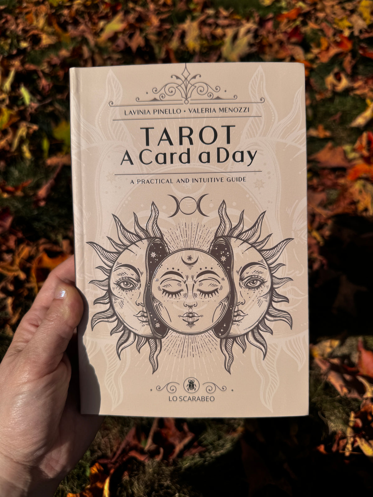 Tarot: A Card a Day