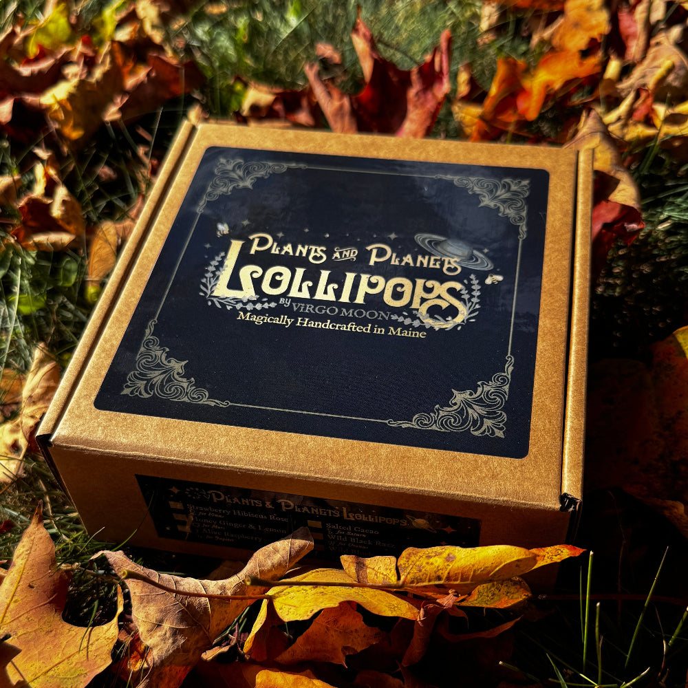 A square cardboard box labeled 'Plants and Planets Lollipops' sits outdoors on grass surrounded by fallen autumn leaves. The box lid has a dark label with decorative text, and the sides appear kraft brown.