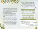 Llewellyn's 2027 Herbal Enchantment Planner: Herbal Magic
