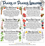 Plants & Planets Lollipops: 2026 Summer Collection