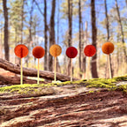6 Colorful "Plants and Planets" lollipops on sticks with a forest background