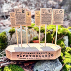 Plants & Planets Lollipops: 2026 Summer Collection