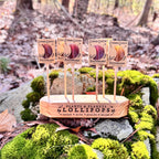Plants & Planets Lollipops: 2026 Summer Collection