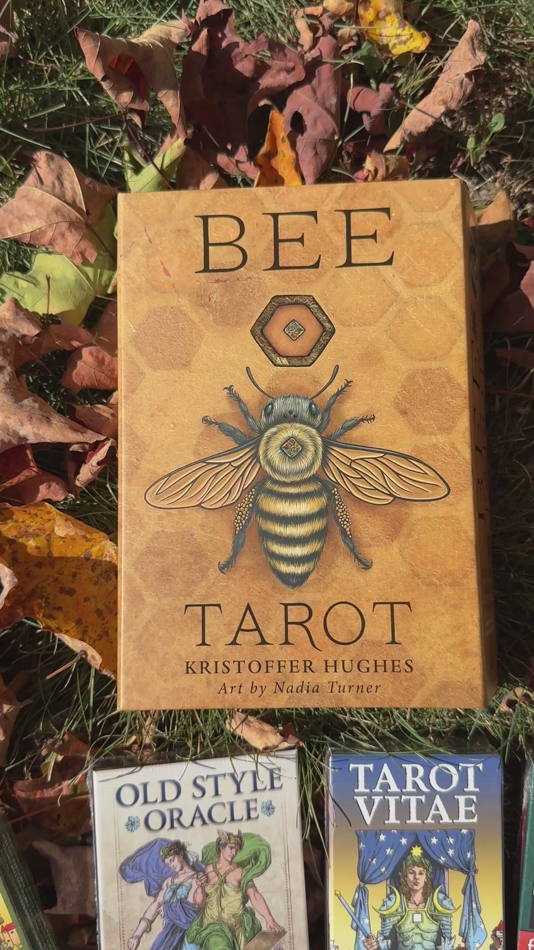 Bee Tarot