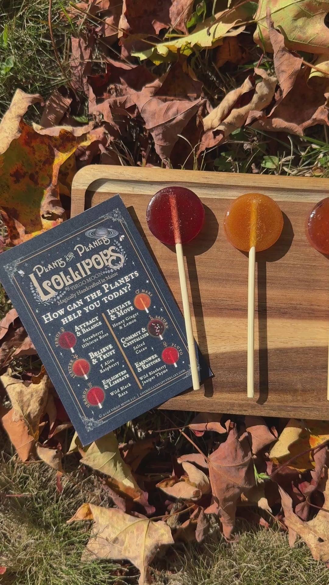 Video scanning the Plants and Planets Lollipops sitting upon a wooden board on a bed of fallen autumn leaves