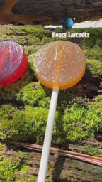 Plants & Planets Lollipops: 2026 Summer Collection
