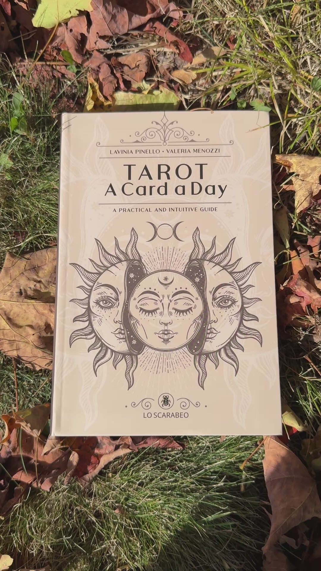 Tarot: A Card a Day