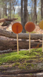 Plants & Planets Lollipops: 2026 Summer Collection
