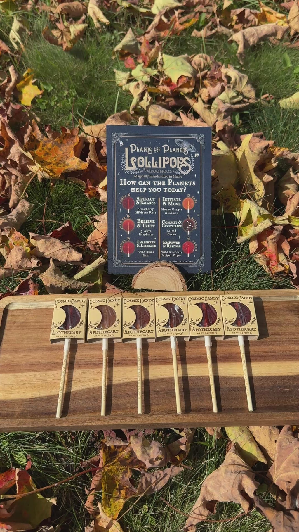 Video of each plants and planets lollipop flavor, encased in its kraft sleeve, individually held up, one at a time, and twirled showing the front, sides and back of the packaged lollipop